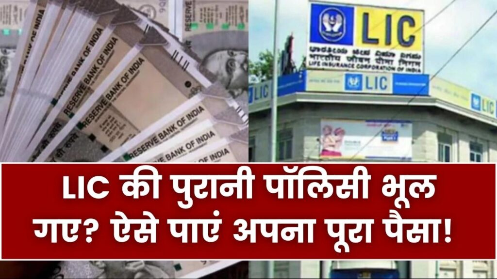 पुरानी LIC पॉलिसी का पैसा भूल गए हैं? जल्द करें यह काम, पूरा क्लेम मिलेगा वापस