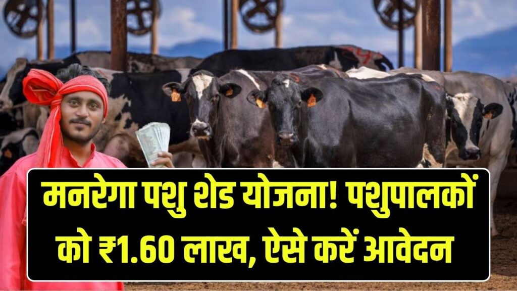 Mgnrega Pashu Shed Yojana: पशुपालकों को मिलेगा ₹1.60 लाख, नया तरीका जानें आवेदन करने का