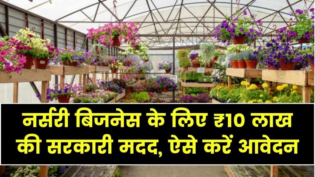 इस राज्य में नर्सरी खोलकर बनें लखपति! सरकार देगी ₹10 लाख तक की मदद, जानें आवेदन और सब्सिडी डिटेल