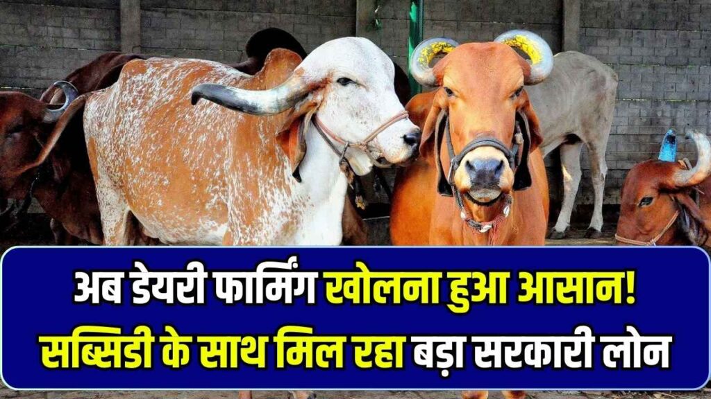 पशुपालन से बढ़ेगी कमाई! डेयरी फार्मिंग बिजनेस के लिए सरकार दे रही है बड़ा लोन और सब्सिडी, जानें आवेदन का नया तरीका। 1 पशुपालन से बढ़ेगी कमाई! डेयरी फार्मिंग बिजनेस के लिए सरकार दे रही है बड़ा लोन और सब्सिडी, जानें आवेदन का नया तरीका।