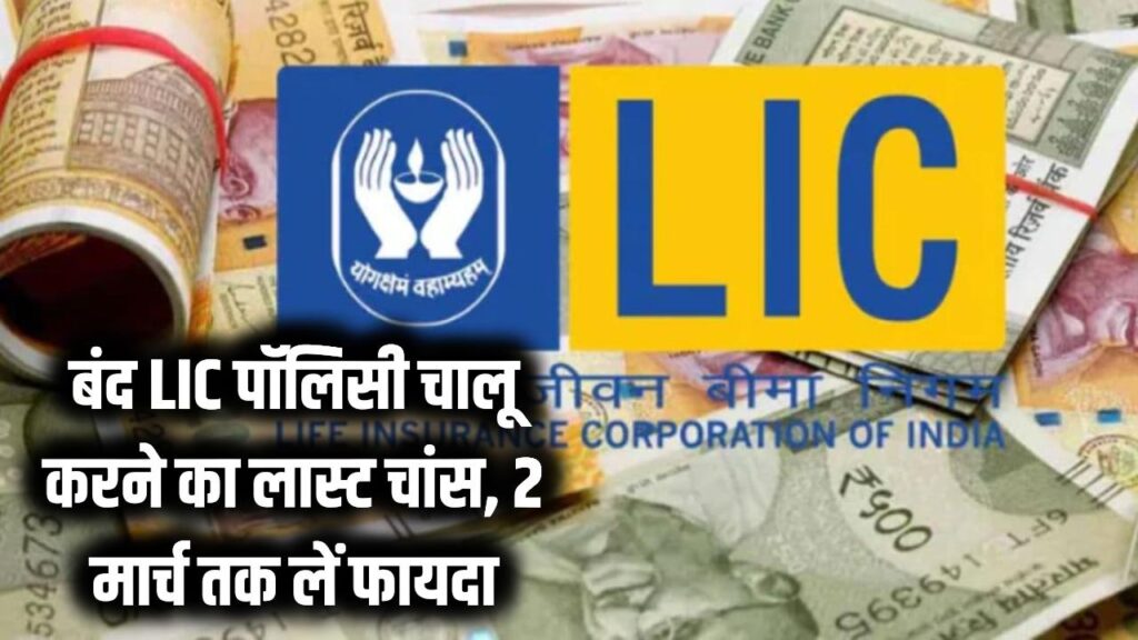 बंद हो चुकी LIC पॉलिसी को दोबारा चालू करने का लास्ट चांस! 2 मार्च से पहले उठाएं लेट फीस में छूट का फायदा, देखें प्रोसेस।