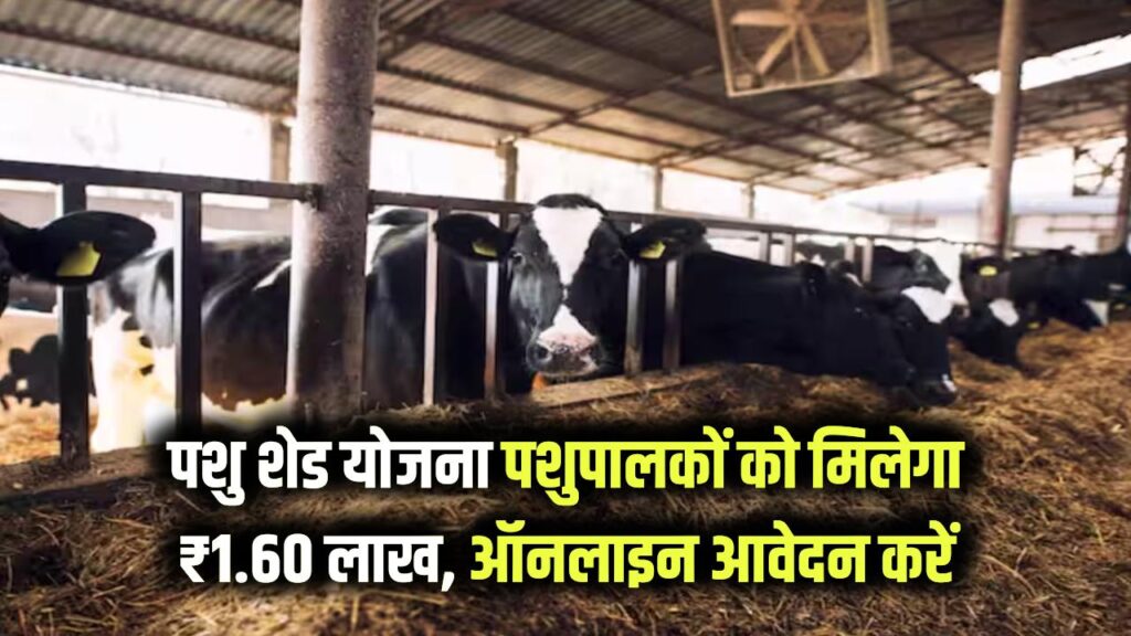 Pashu Shed Yojana: पशुपालकों को मिलेगा ₹1.60 लाख, मनरेगा के तहत शेड बनाने के लिए ऑनलाइन आवेदन करें