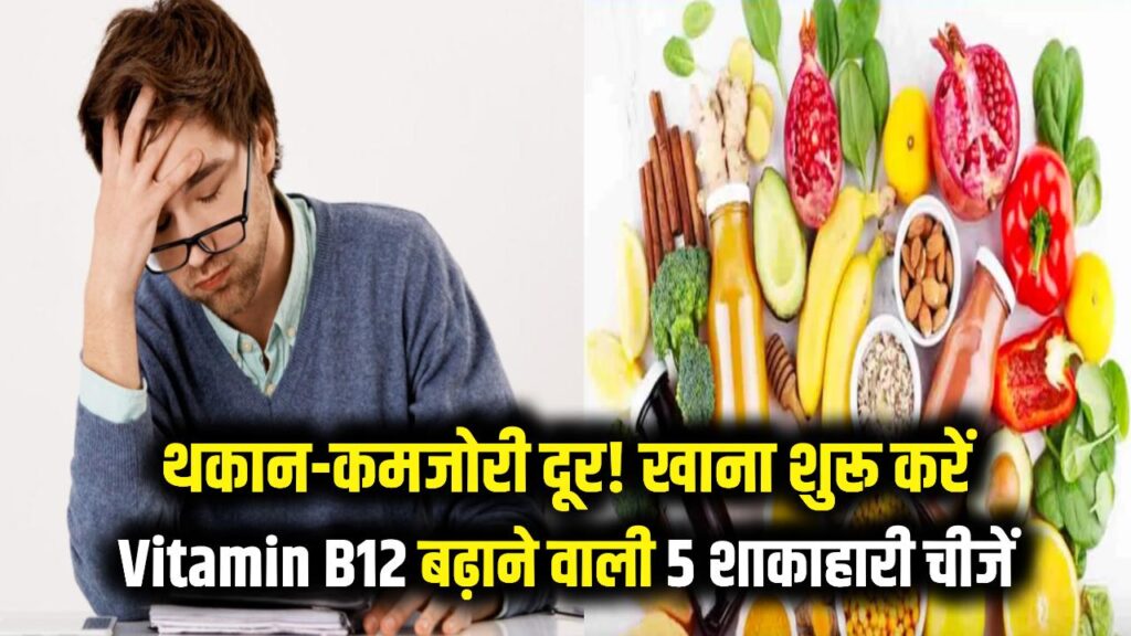 शरीर में थकान और कमजोरी? आज ही खाना शुरू करें ये 5 शाकाहारी चीजें, तेजी से बढ़ेगा Vitamin B12 1 शरीर में थकान और कमजोरी? आज ही खाना शुरू करें ये 5 शाकाहारी चीजें, तेजी से बढ़ेगा Vitamin B12